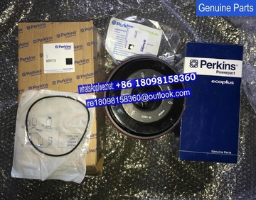CH11010 CH11011 CH11012 Genuine Perkins filter /original FG Wilson generator engine parts