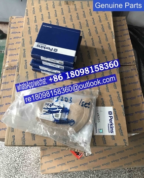 CVK617 CVK565 Perkins TOP/BOTTOM gasket kit for 3008TAG /genuine engine parts