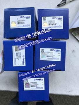 Genuine Perkins LCG1 LC Governor U5MK0669 for 1100 series generator parts 2868A014