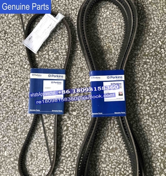 CV14646 OE49891 Genuine Perkins Belt for 2000/3000