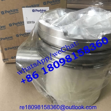 SE901BA SE901AQ Piston Kit for 4000 series Gas engine Perkins Dorman parts