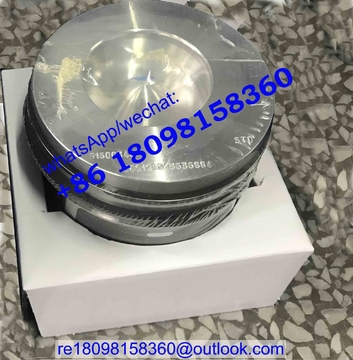 363-6884 3636884 Piston Kit with Ring for Caterpillar CAT C4.4 C6.6 C7.1