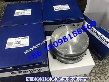 3135M116 3135M111 3135M121 Perkins Piston for 1104C-44 1106 CAT Caterpillar C4.4 C6.6 engine parts